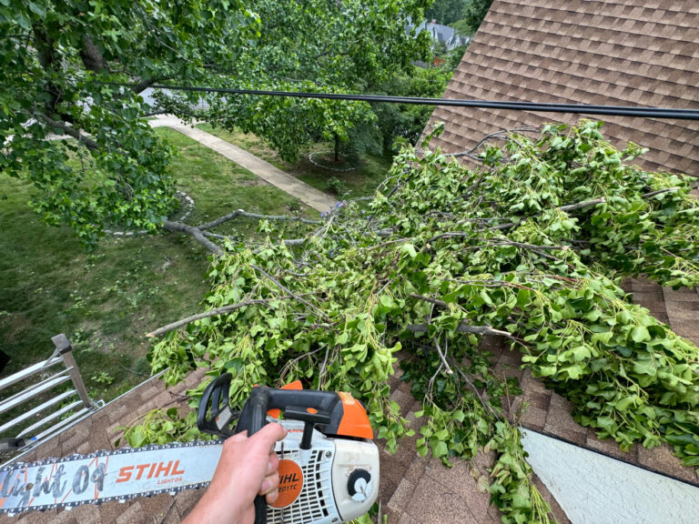 stormdamage1