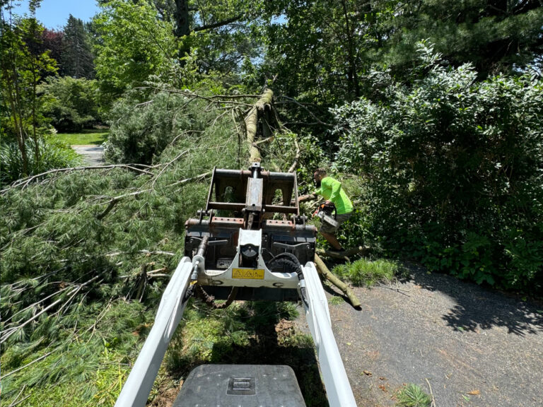 stormdamage2