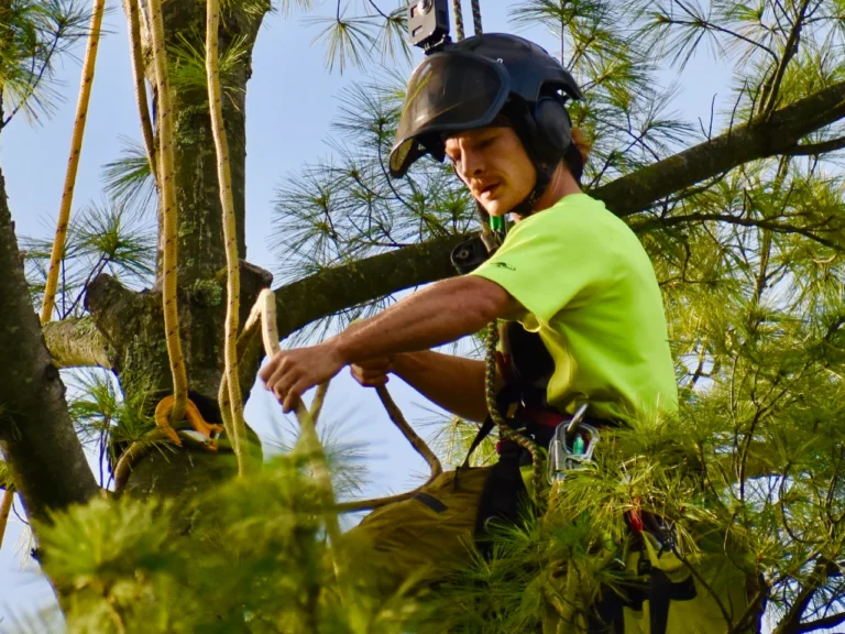 climbing1