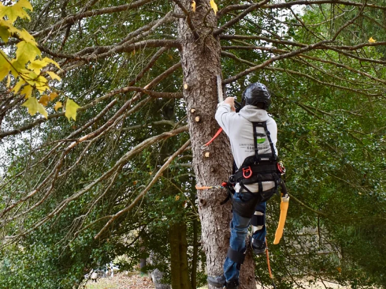 climbing2