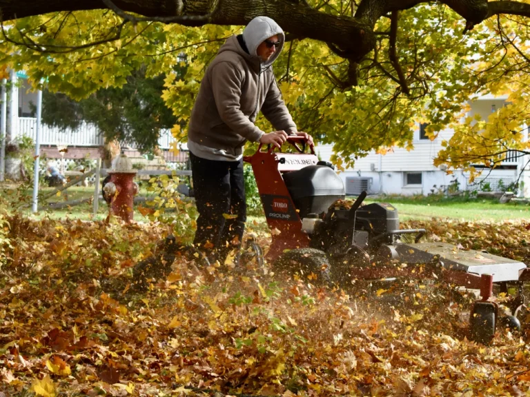 gpmleafcleanup