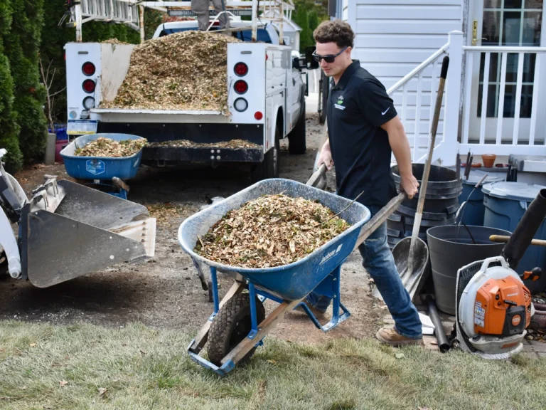 gpmleafcleanup2