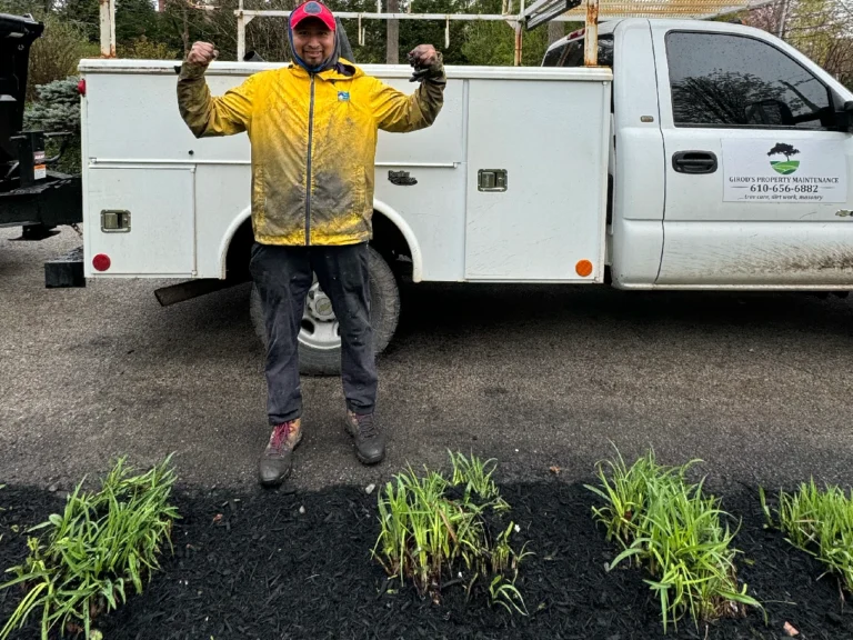 mulch2